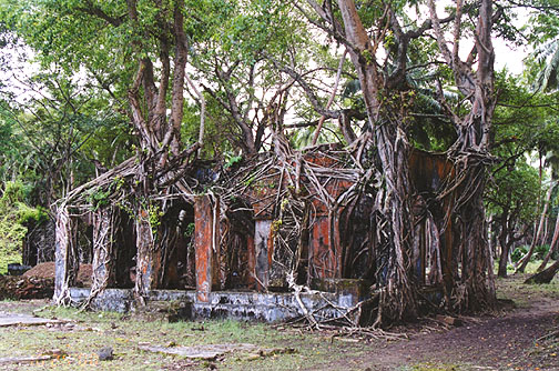 ross-island-andaman-old-building-photo-picture.jpg